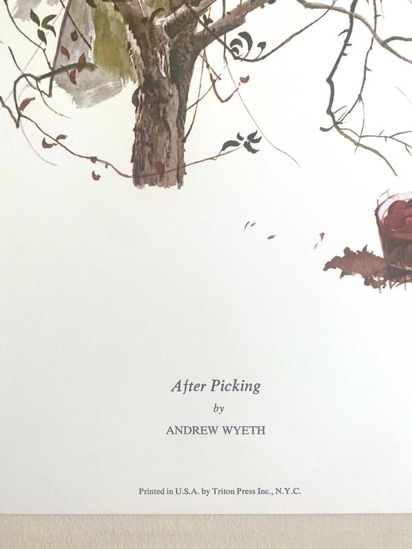 ANDREW WYETH RARE 1977 "AFTER PICKING" COLLECTOR LARGE FINE ART LITHOGRAPH PRINT - 11