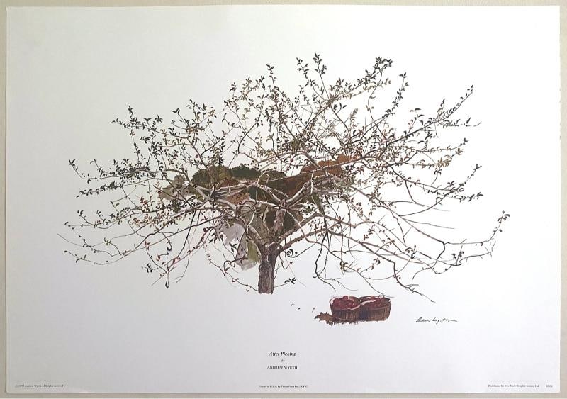 ANDREW WYETH RARE 1977 "AFTER PICKING" COLLECTOR LARGE FINE ART LITHOGRAPH PRINT (1 of 12)