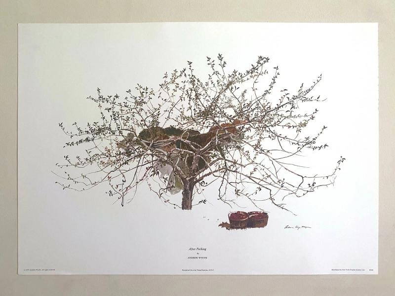 ANDREW WYETH RARE 1977 "AFTER PICKING" COLLECTOR LARGE FINE ART LITHOGRAPH PRINT - 2