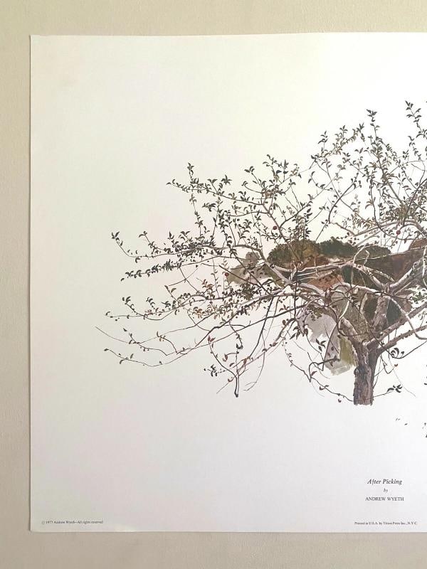 ANDREW WYETH RARE 1977 "AFTER PICKING" COLLECTOR LARGE FINE ART LITHOGRAPH PRINT - 3