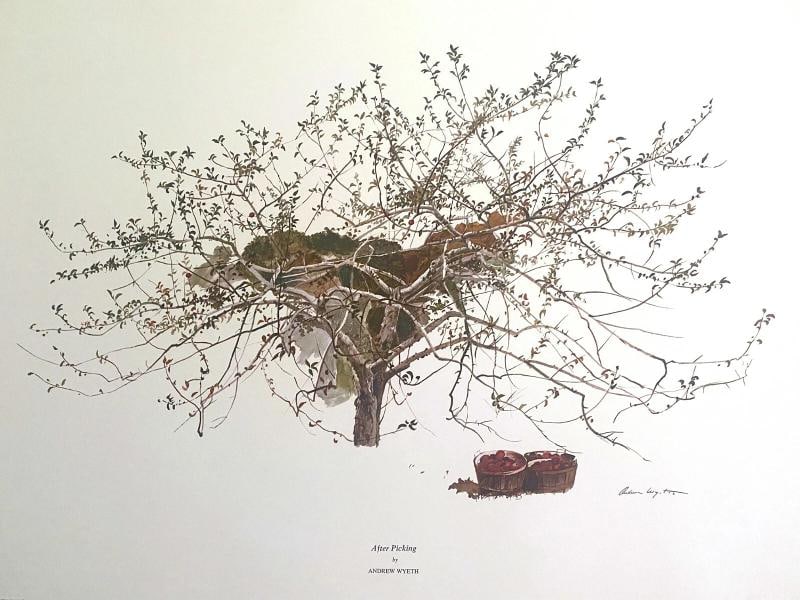 ANDREW WYETH RARE 1977 "AFTER PICKING" COLLECTOR LARGE FINE ART LITHOGRAPH PRINT - 5