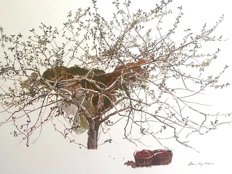 ANDREW WYETH RARE 1977 "AFTER PICKING" COLLECTOR LARGE FINE ART LITHOGRAPH PRINT - 6