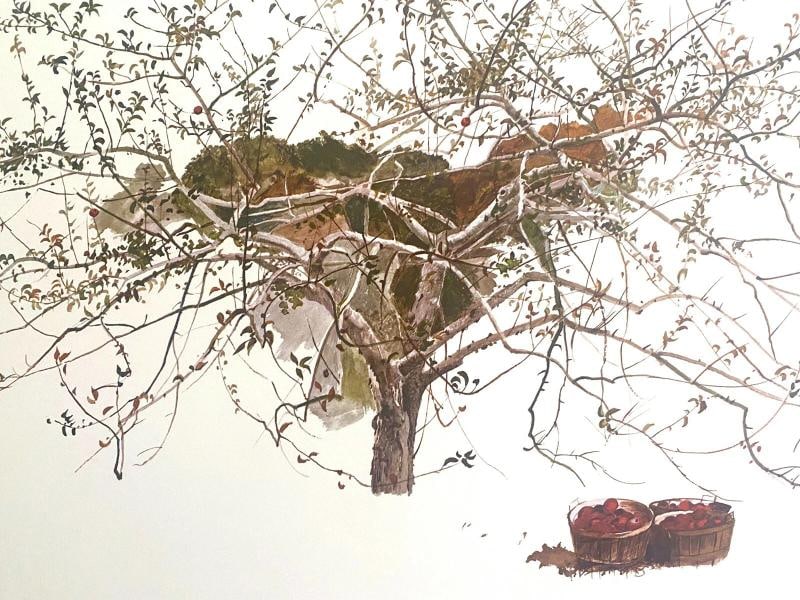ANDREW WYETH RARE 1977 "AFTER PICKING" COLLECTOR LARGE FINE ART LITHOGRAPH PRINT - 7