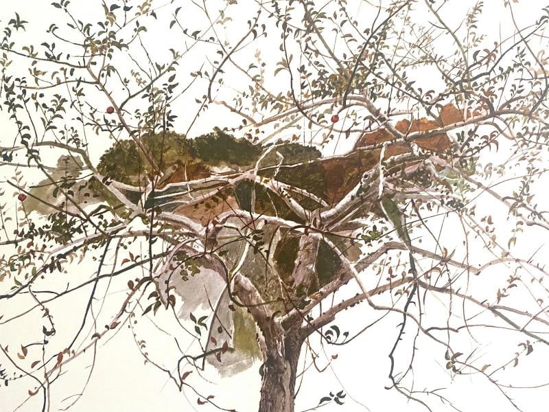 ANDREW WYETH RARE 1977 "AFTER PICKING" COLLECTOR LARGE FINE ART LITHOGRAPH PRINT - 8