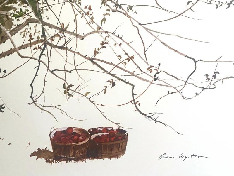 ANDREW WYETH RARE 1977 "AFTER PICKING" COLLECTOR LARGE FINE ART LITHOGRAPH PRINT - 9