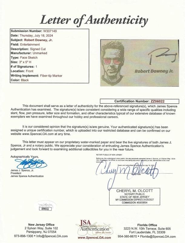 Robert Downey Jr. Signed Iron Man Movie Car Audi R8 License Plate Framed JSA COA - 3