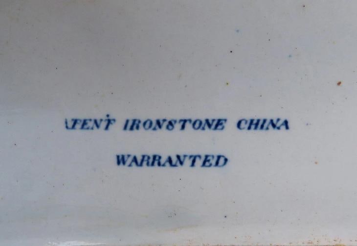 Rare c1840s English Ironstone Large Serving Platter w Grasshopper Design - 6