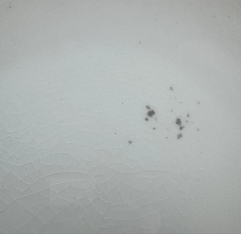 Set 12 c1920s Royal Doulton Noke's Tiffany Co Raised Gilt Rim 9.5" Soup Bowls - 10