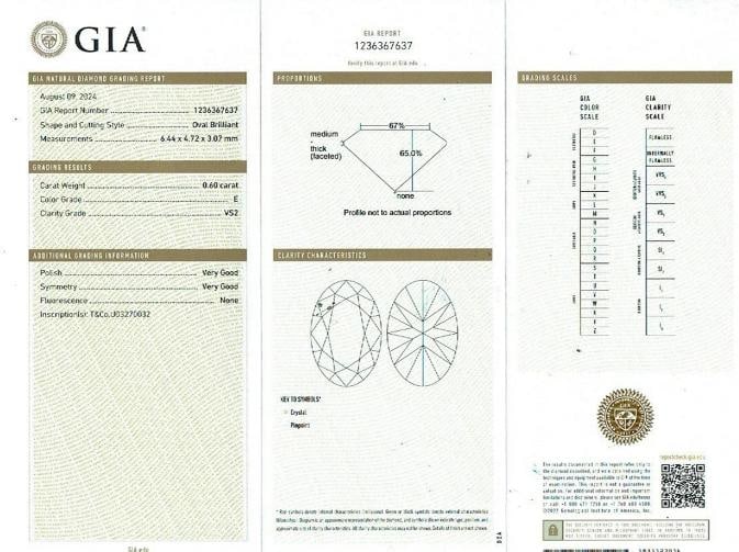 Tiffany & Co. Soleste Oval Diamond 0.60 ct E VS2 Halo Engagement Ring Platinum - 4