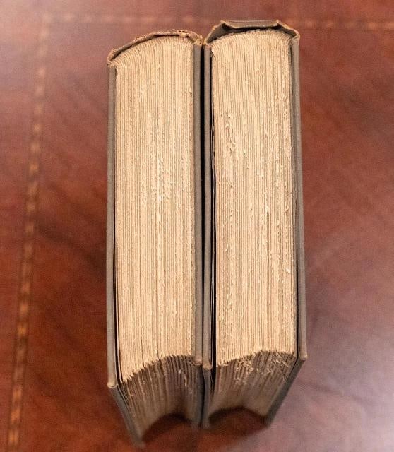 1880 Edgar Allan Poe His Life Letters & Opinions Fine Bindings First Edition - 6