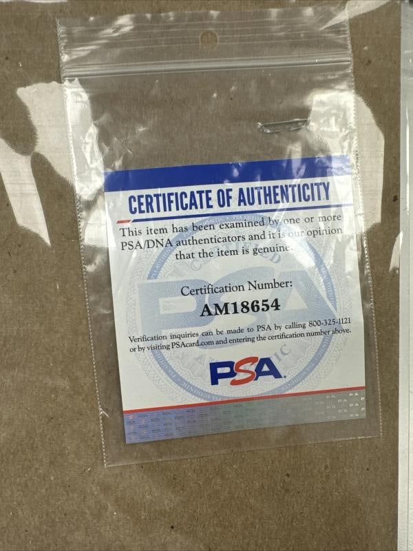 Wayne Gretzky New York Rangers Hespeler Game Model Hockey Gloves PSA DNA COA - 8