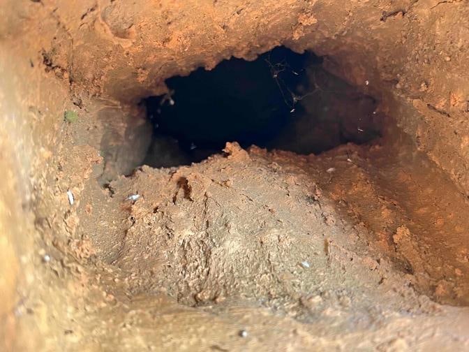 Antique Grand Tour Terracotta Bust Statue Roman General Marcus Vipsanius Agrippa - 14