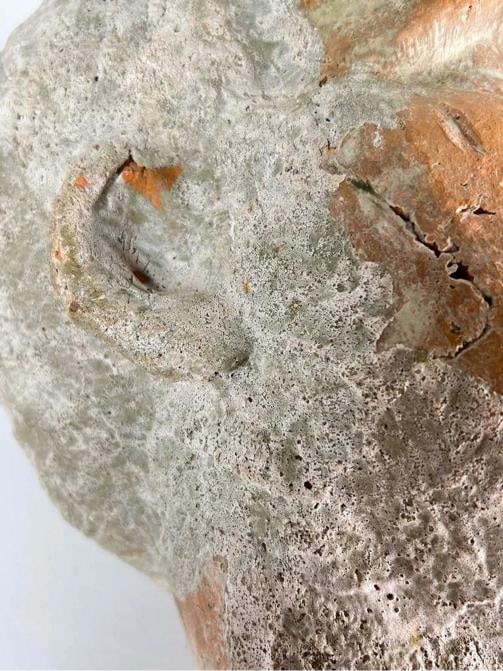 Antique Grand Tour Terracotta Bust Statue Roman General Marcus Vipsanius Agrippa - 17