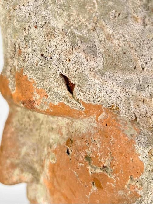 Antique Grand Tour Terracotta Bust Statue Roman General Marcus Vipsanius Agrippa - 7