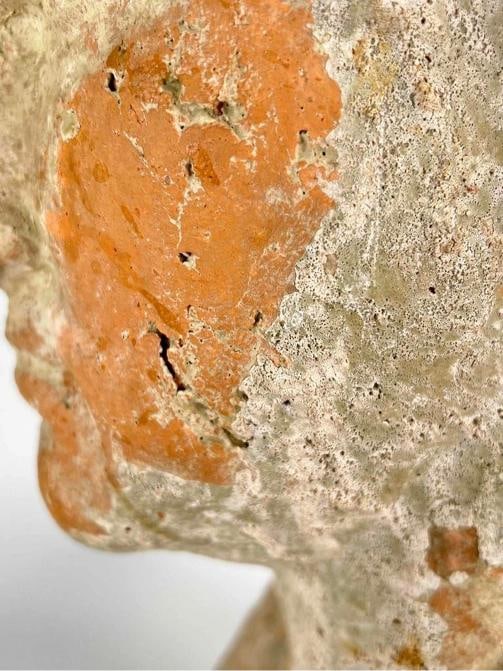 Antique Grand Tour Terracotta Bust Statue Roman General Marcus Vipsanius Agrippa - 8