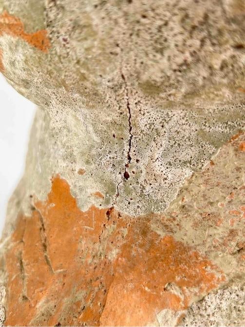 Antique Grand Tour Terracotta Bust Statue Roman General Marcus Vipsanius Agrippa - 9