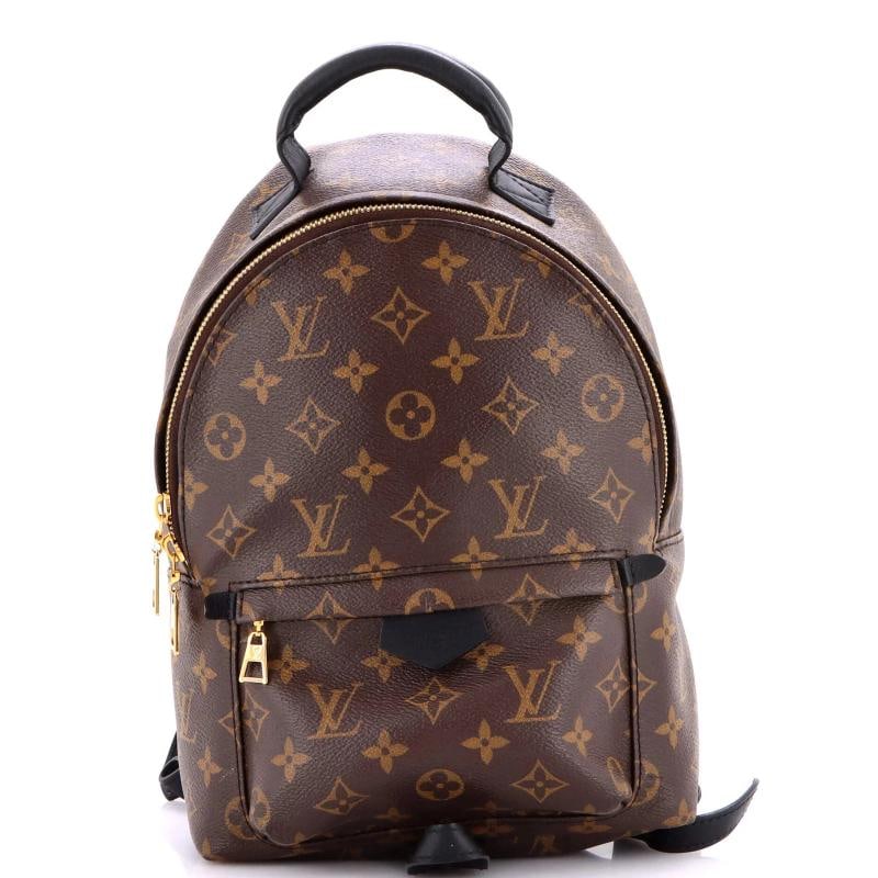 Louis Vuitton Palm Springs Backpack Monogram Canvas PM (1 of 8)