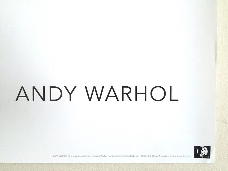 ANDY WARHOL FOUNDATION OFFSET LITHOGRAPH PRINT POP ART POSTER " BANANA " 1966 - 7