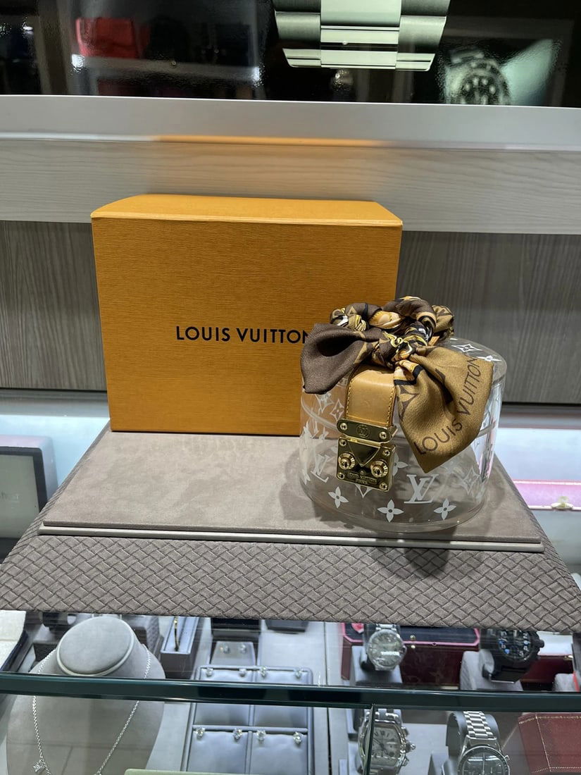 Louis Vuitton Scott Box with twillly (2021) (1 of 13)