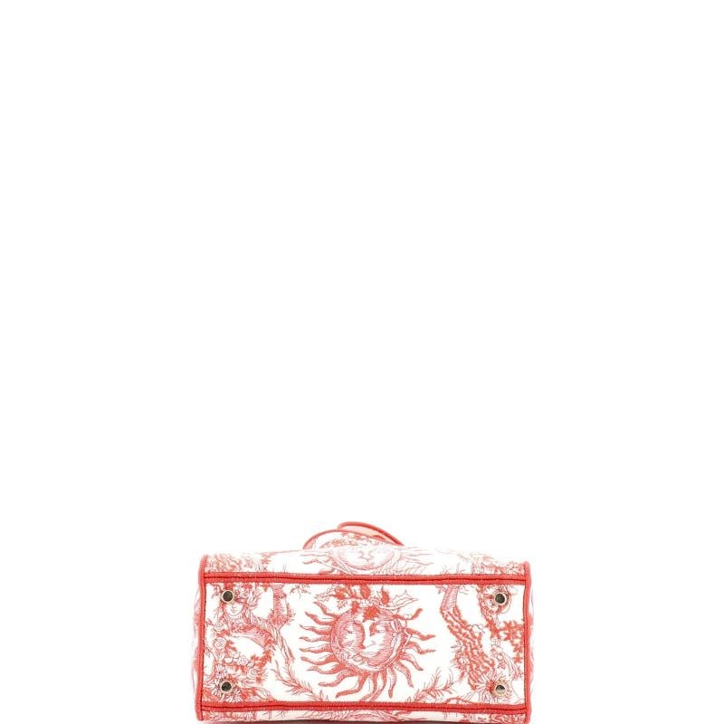 Christian Dior Lady D-Lite Bag Embroidered Canvas Medium - 4