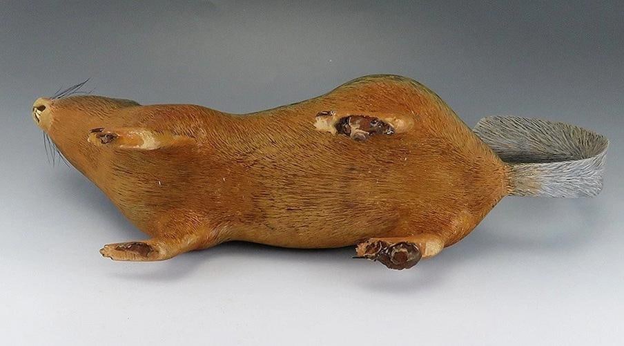 Realistic Hand Made Naturalist Ground Squirrel Museum Quality Wood Figure - 6