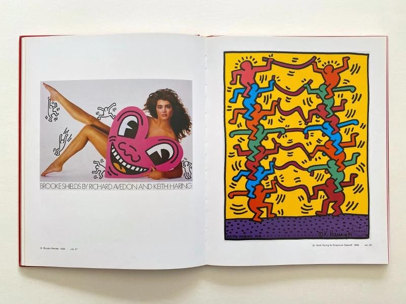 KEITH HARING RARE 1ST EDITION POSTERS CATALOGUE RAISONNE HARDCOVER POP ART BOOK - 6