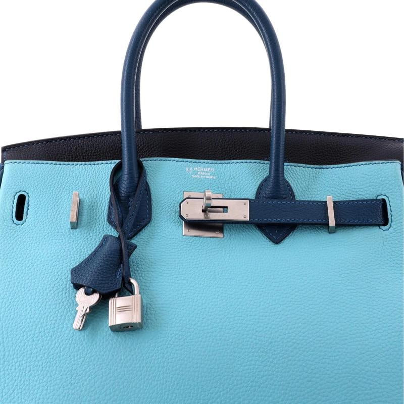 Hermes Birkin Handbag Tricolor Togo with Brushed Palladium Hardware 30 - 6