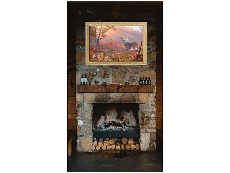 Pat Pauley Original Oil Painting On Canvas Signed Animal Landscape Framed Art - 2