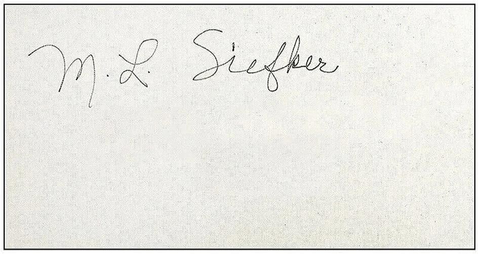 Mary Lou Siefker Large Original Acrylic Painting Canvas Abstract Signed Framed - 4