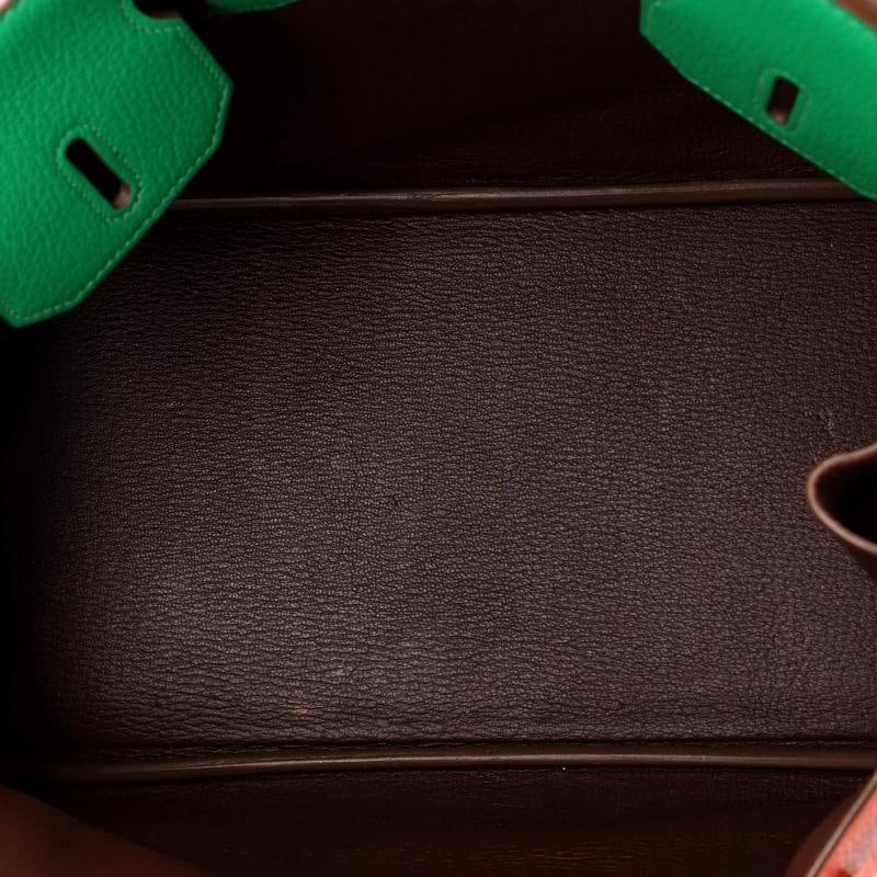 Hermes Birkin Handbag Tricolor Chevre Mysore with Gold Hardware 30 - 6