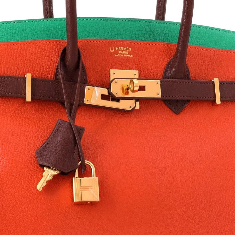 Hermes Birkin Handbag Tricolor Chevre Mysore with Gold Hardware 30 - 7