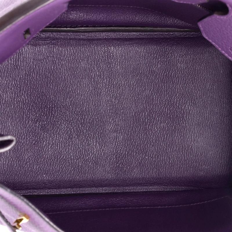 Hermes Birkin Handbag Purple Togo with Gold Hardware 30 - 5