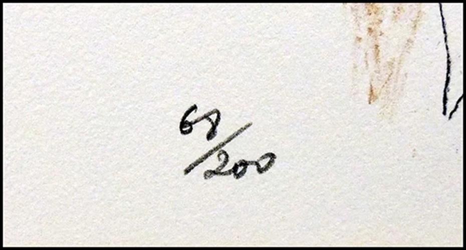 LeRoy NEIMAN Harlequin Color Serigraph Original Hand Signed Large Modern Artwork - 4