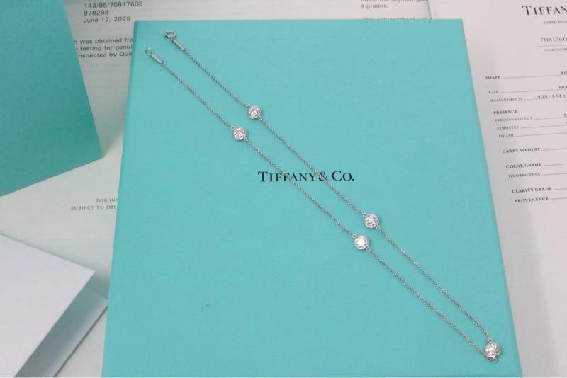 Tiffany & Co Peretti Platinum 1.73ct Diamond By The Yard Necklace F VS1 $17K - 2