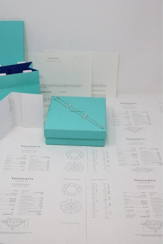 Tiffany & Co Peretti Platinum 1.73ct Diamond By The Yard Necklace F VS1 $17K - 4