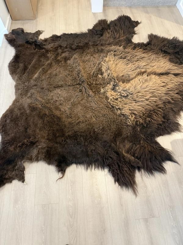 Premium Massive XXL bison Hide Rug Taxidermy Fur (1 of 10)