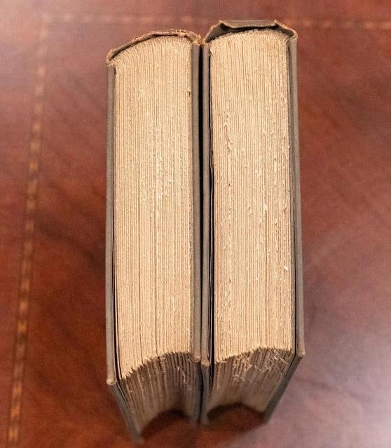1880 Edgar Allan Poe His Life Letters & Opinions Fine Bindings First Edition - 9