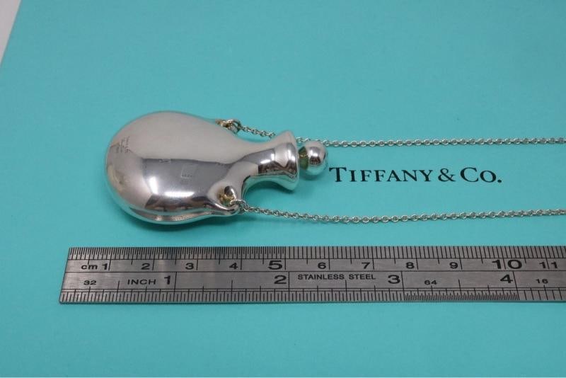 Tiffany Co Large Silver Perfume Bottle Long Pendant Necklace 925 - 3