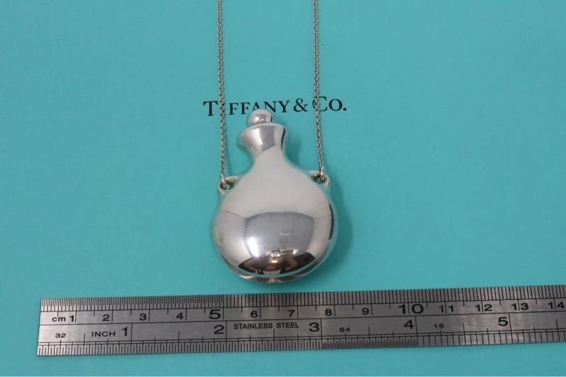 Tiffany Co Large Silver Perfume Bottle Long Pendant Necklace 925 - 4