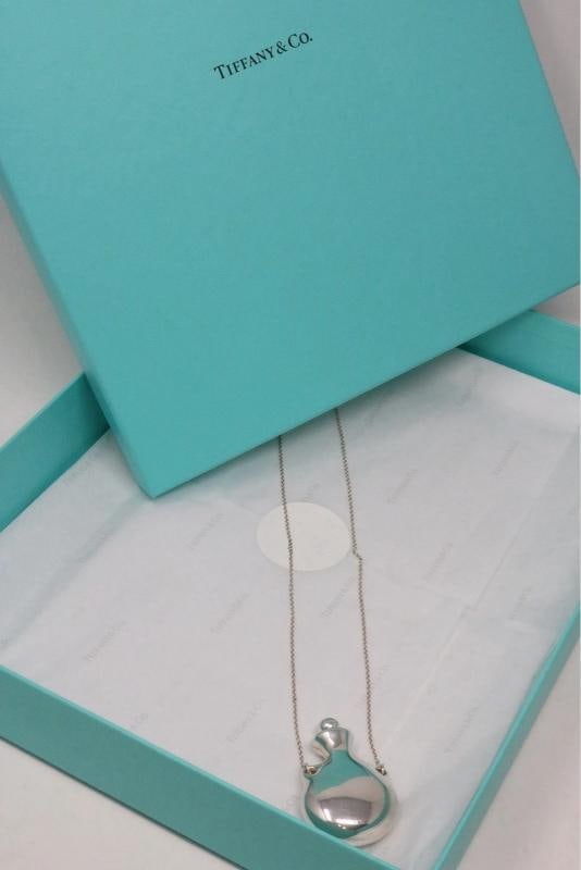 Tiffany Co Large Silver Perfume Bottle Long Pendant Necklace 925 - 5