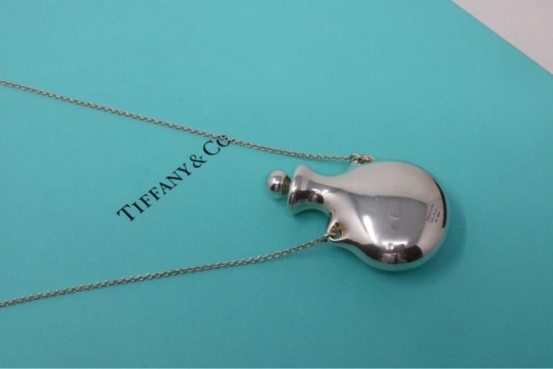 Tiffany Co Large Silver Perfume Bottle Long Pendant Necklace 925 - 6