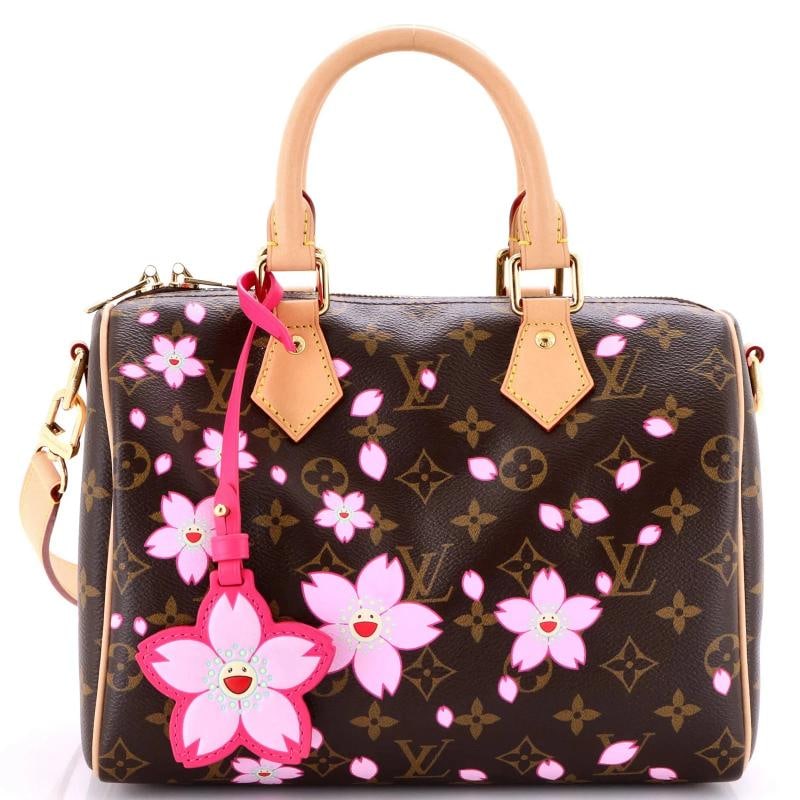 Louis Vuitton x Takashi Murakami Speedy Handbag Limited Edition Cherry Blossom (1 of 6)