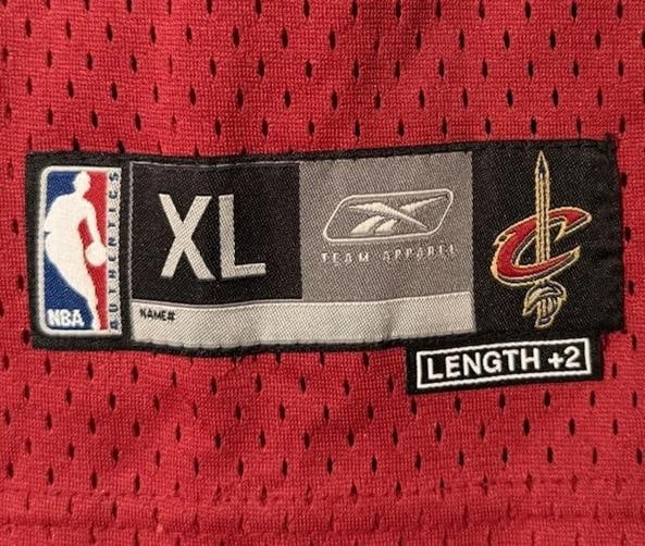 LeBron James Autographed Signed Cleveland Cavaliers Jersey Auto PSADNA LOA - 10