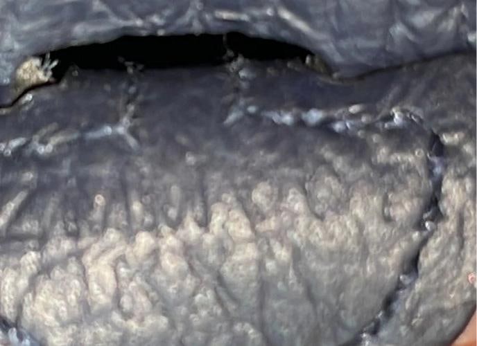 Hermes Evelyne Bag Gen III Clemence TPM - 9