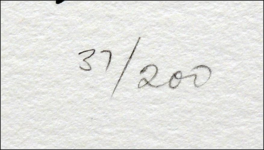 YANKEL GINZBURG Serigraph Kings Original SIGNED RARE Large 34x46 Abstract Art - 5