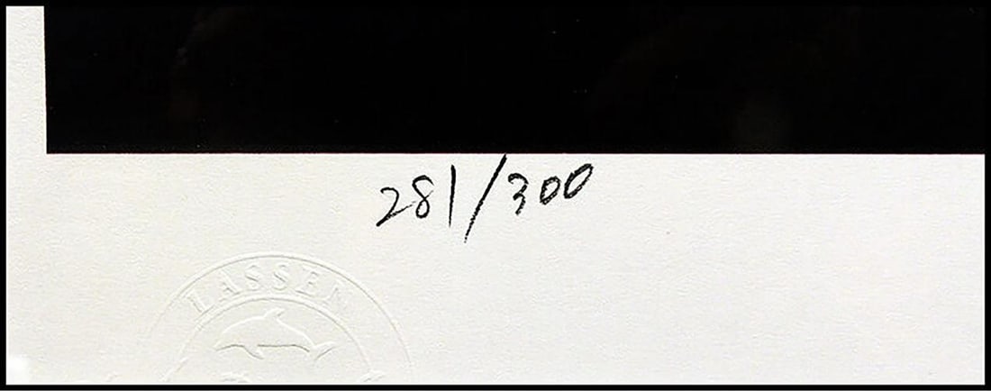 Christian Riese Lassen Sea Down Original Large Lithograph Dolphins Signed Art - 6