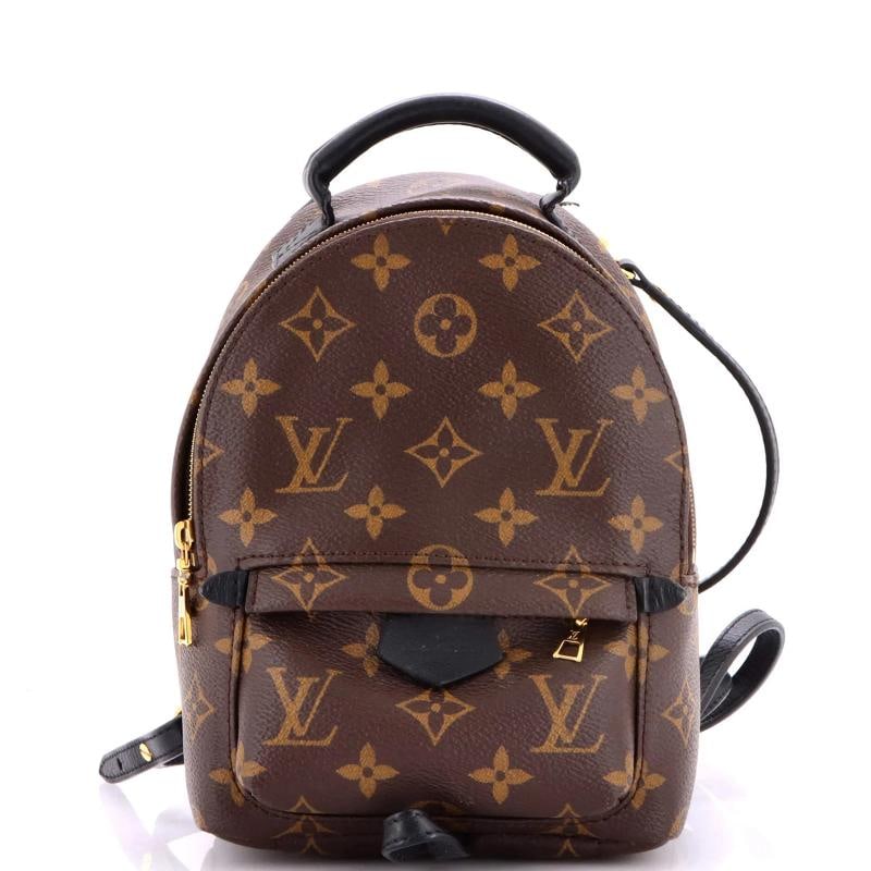 Louis Vuitton Palm Springs Backpack Monogram Canvas Mini (1 of 8)