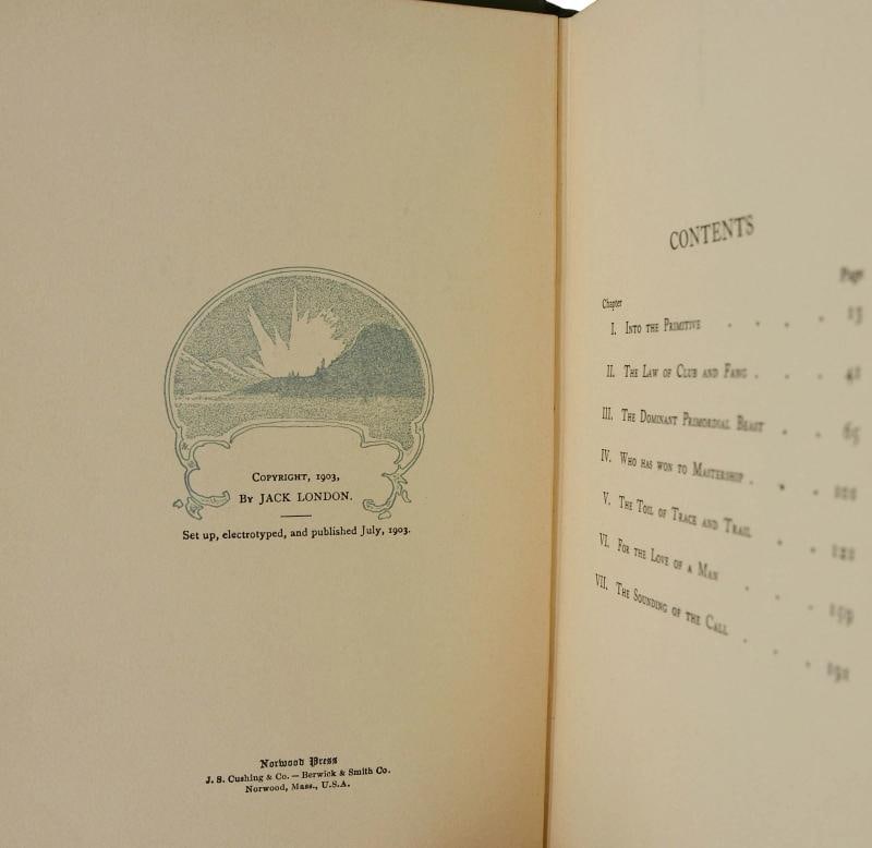 The Call of the Wild ~ by JACK LONDON ~ First Edition ~ 1st Printing ~ 1903 - 4