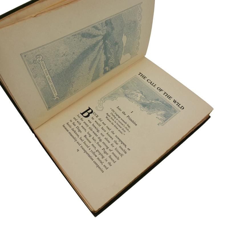 The Call of the Wild ~ by JACK LONDON ~ First Edition ~ 1st Printing ~ 1903 - 5