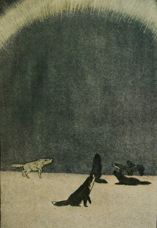 The Call of the Wild ~ by JACK LONDON ~ First Edition ~ 1st Printing ~ 1903 - 6